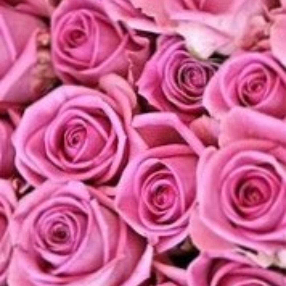 Meet your Posher, Fe